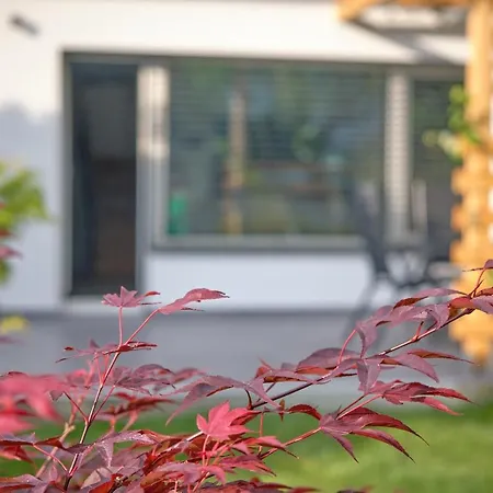 Apartma La Casa Radovljica Exteriér fotografie